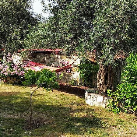 Filoxenia - The Place Of Experience Himare Exterior photo