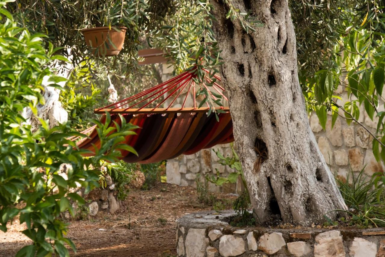 Filoxenia - The Place Of Experience Himare Exterior photo
