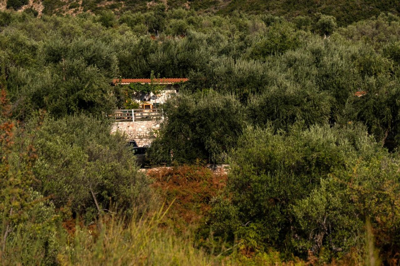 Filoxenia - The Place Of Experience Himare Exterior photo