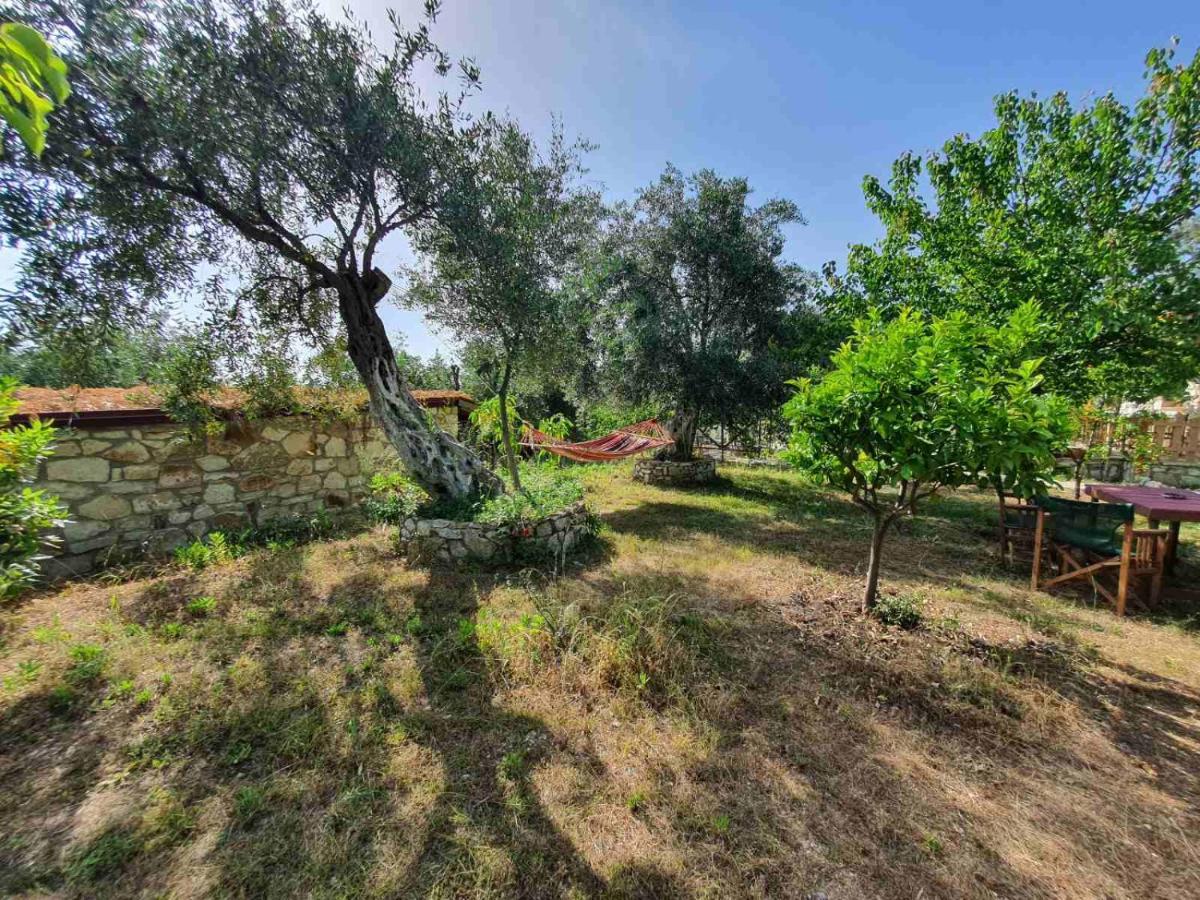 Filoxenia - The Place Of Experience Himare Exterior photo