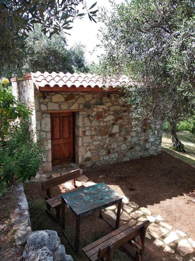 Filoxenia - The Place Of Experience Himare Exterior photo